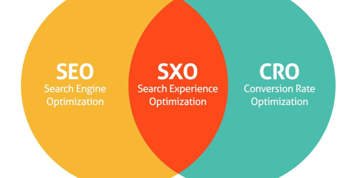 What is Search Experience Optimization (SXO)?