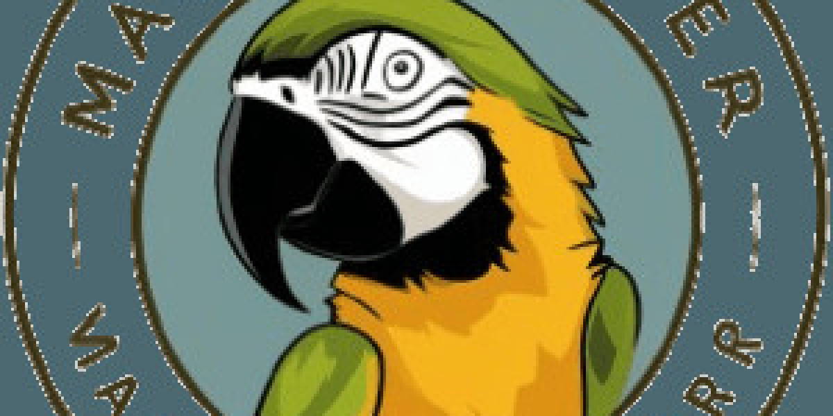 What Macaw Parrot Cost Experts Want You To Know